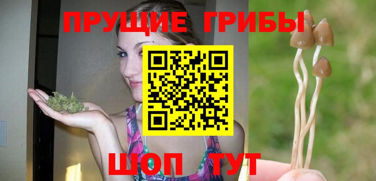 Псилоцибиновые грибы ЛСД Алексеевка